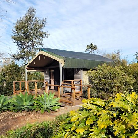 Southern Sky Glamping Mount Tamborine Εξωτερικό φωτογραφία